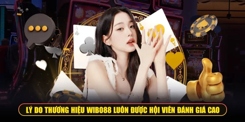 Wibo88 được đánh giá cao